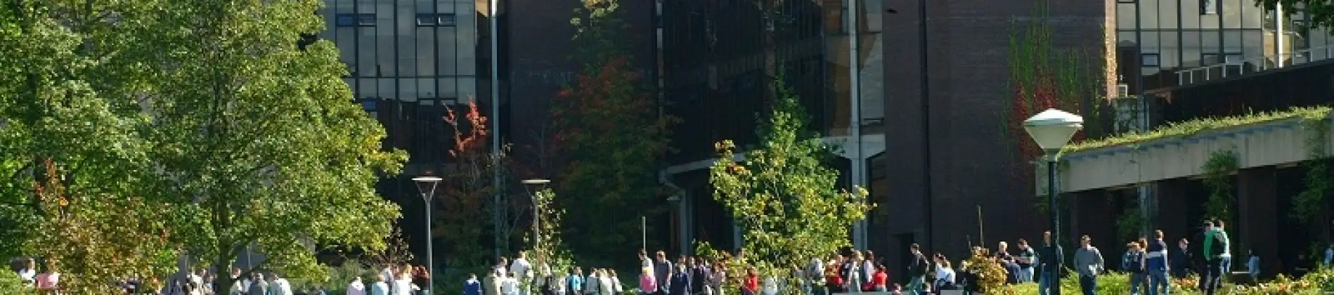 University of Limerick in Ireland University of Limerick in Ireland